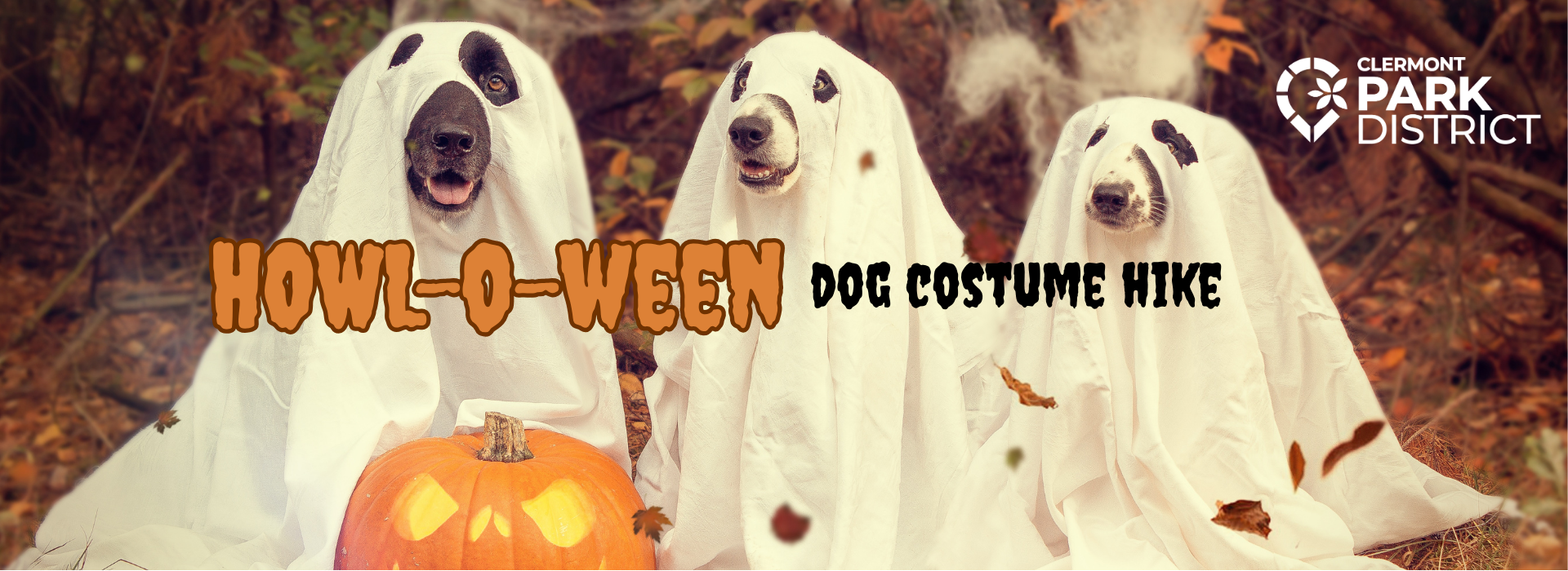 Howl-o-ween
